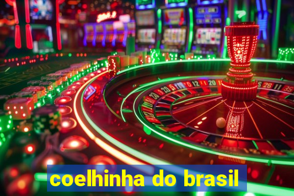 coelhinha do brasil