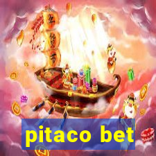 pitaco bet