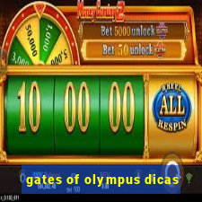 gates of olympus dicas