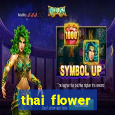 thai flower megaways slot online