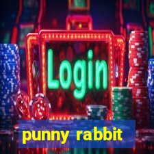 punny rabbit