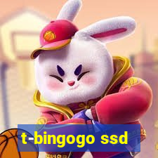 t-bingogo ssd