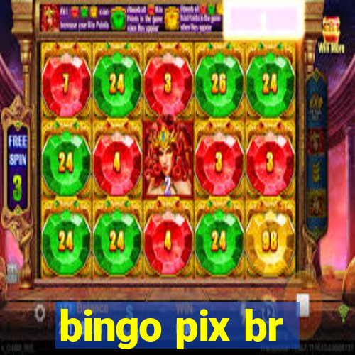 bingo pix br