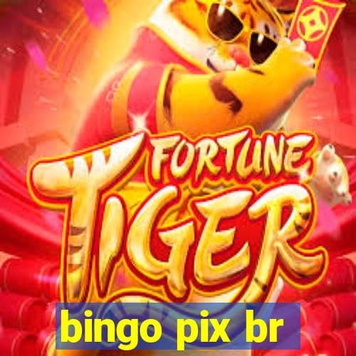 bingo pix br