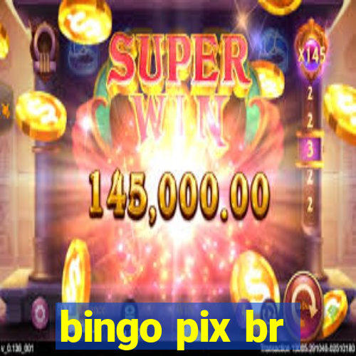 bingo pix br