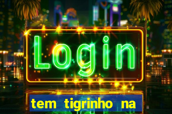 tem tigrinho na bet 365