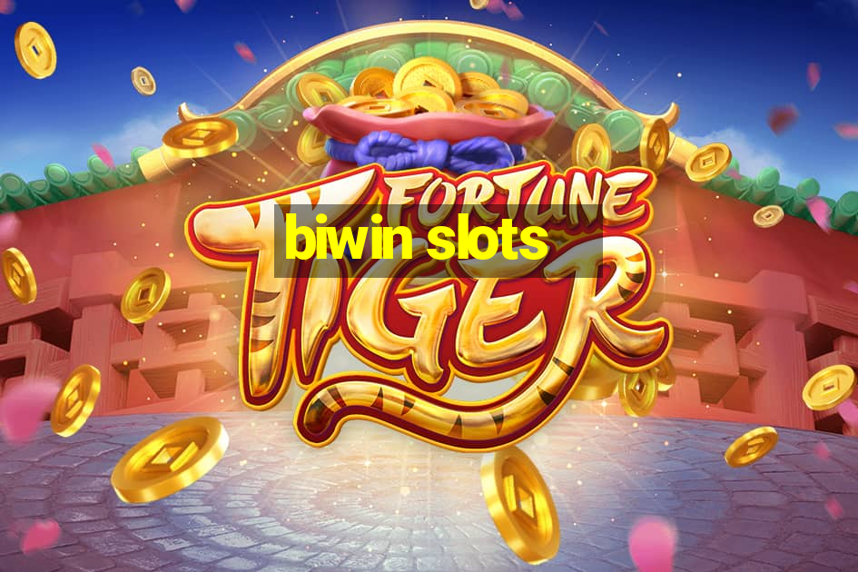 biwin slots