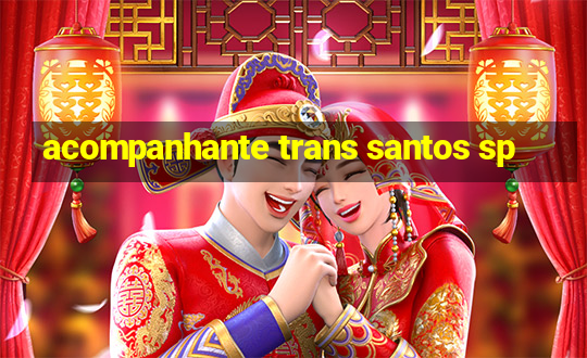 acompanhante trans santos sp