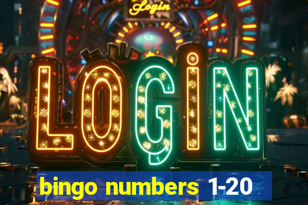 bingo numbers 1-20