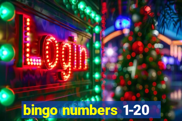 bingo numbers 1-20