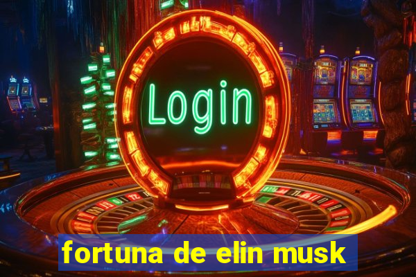 fortuna de elin musk