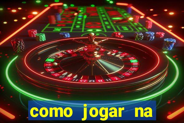 como jogar na lotinha do jogo do bicho