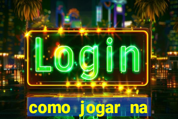 como jogar na lotinha do jogo do bicho