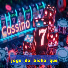 jogo do bicho que da dinheiro