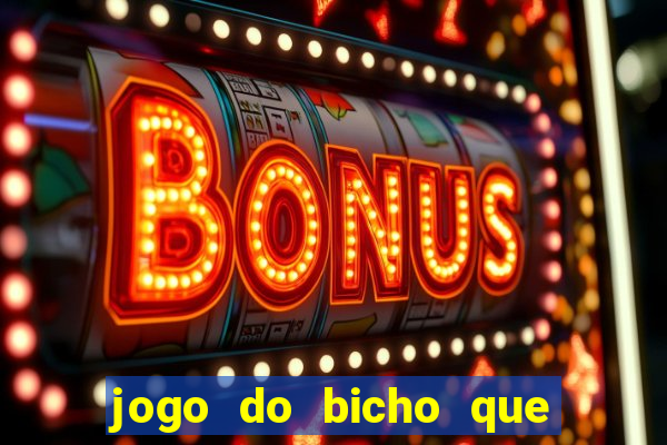 jogo do bicho que da dinheiro