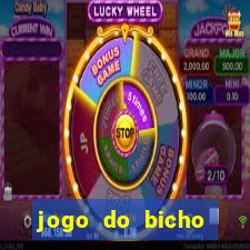 jogo do bicho online curitiba