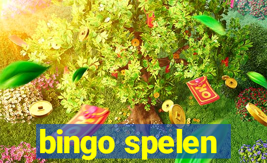 bingo spelen