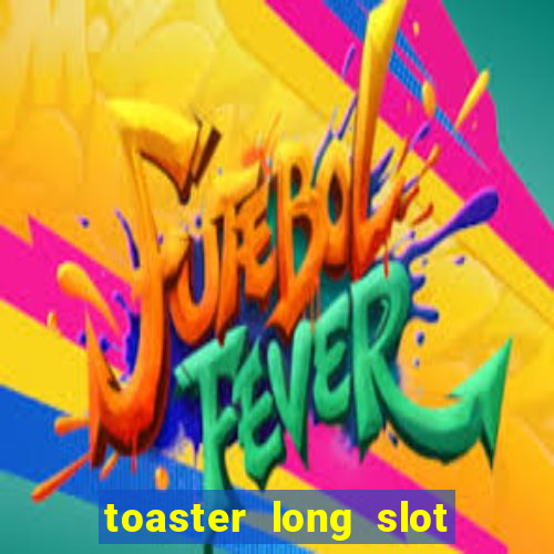 toaster long slot 2 slice