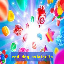 red dog aviator is real or fake