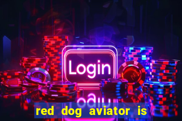 red dog aviator is real or fake