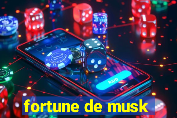 fortune de musk