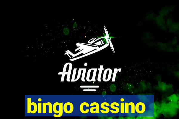 bingo cassino