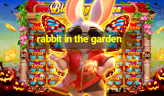 rabbit in the garden