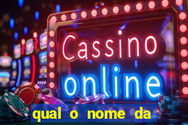 qual o nome da casinha do pinguim