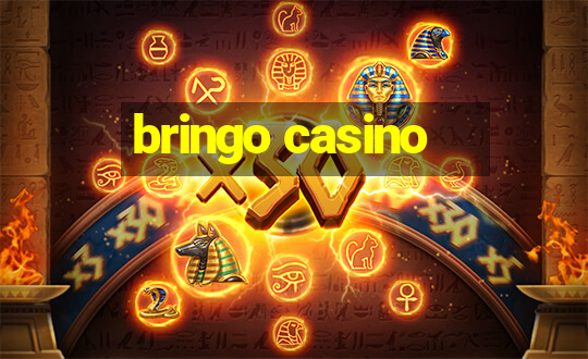 bringo casino