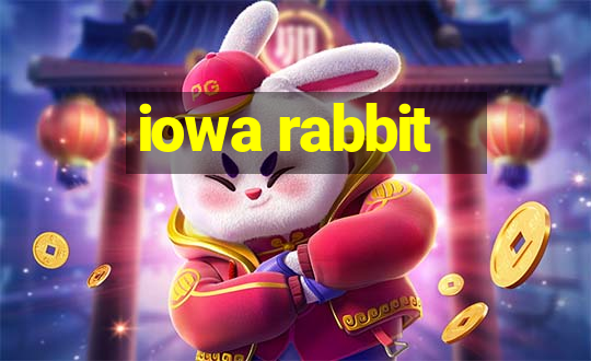 iowa rabbit