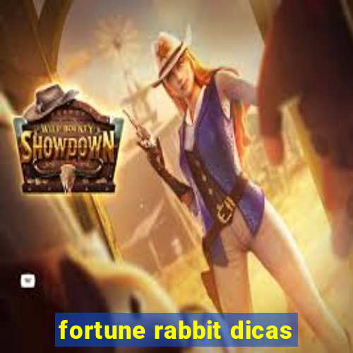 fortune rabbit dicas