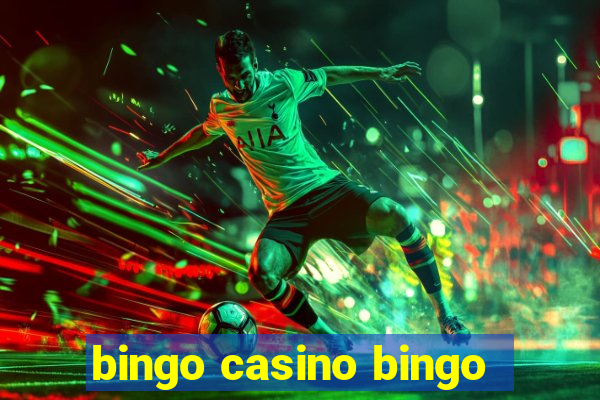 bingo casino bingo