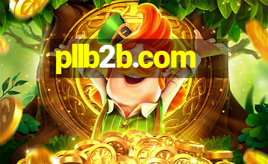 pllb2b.com