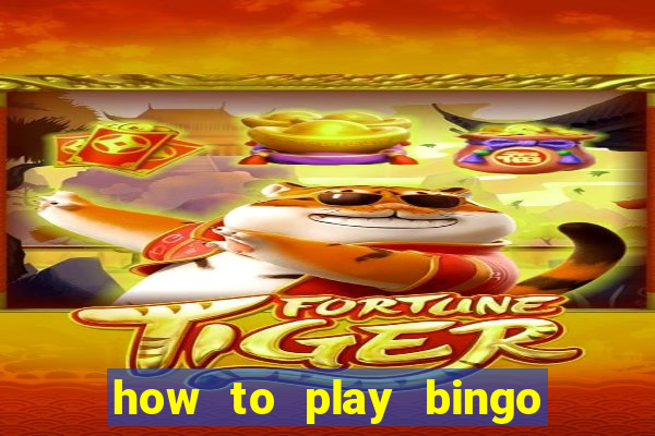 how to play bingo for money