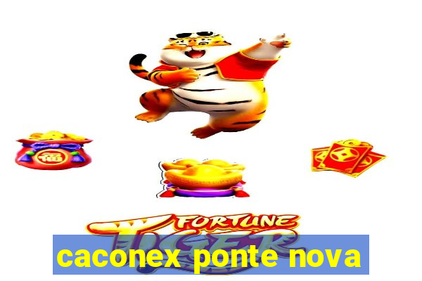 caconex ponte nova