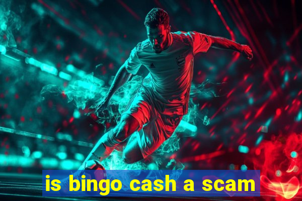 is bingo cash a scam