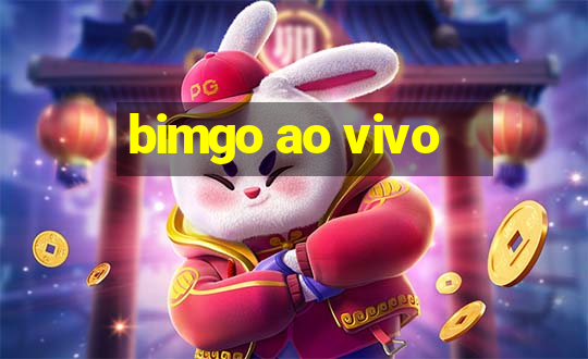 bimgo ao vivo