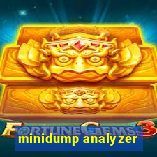 minidump analyzer