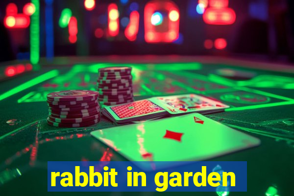 rabbit in garden