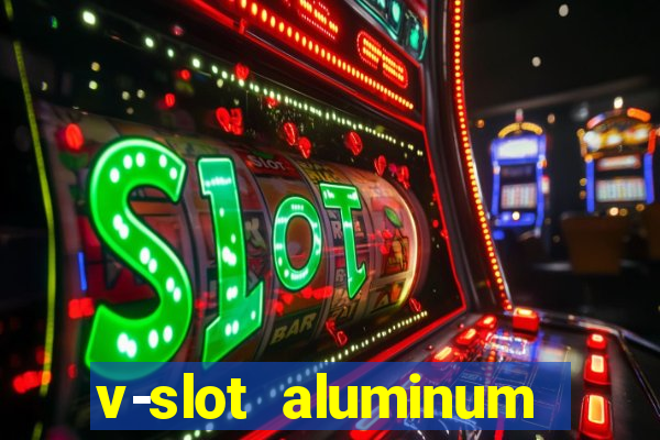 v-slot aluminum profile extrusion