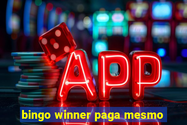 bingo winner paga mesmo