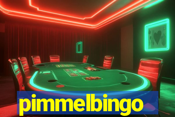 pimmelbingo