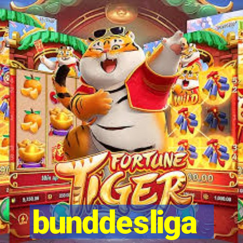 bunddesliga