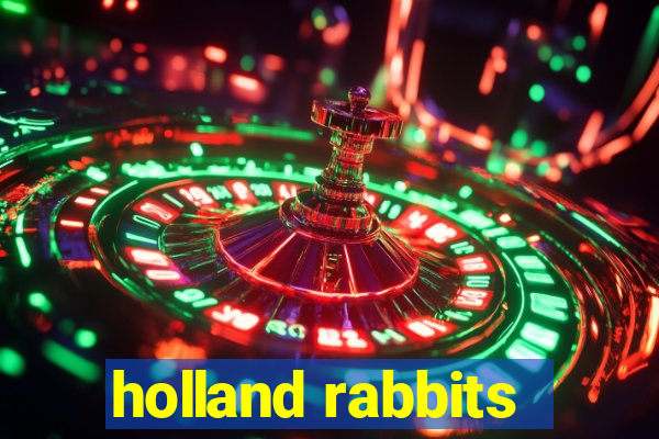 holland rabbits