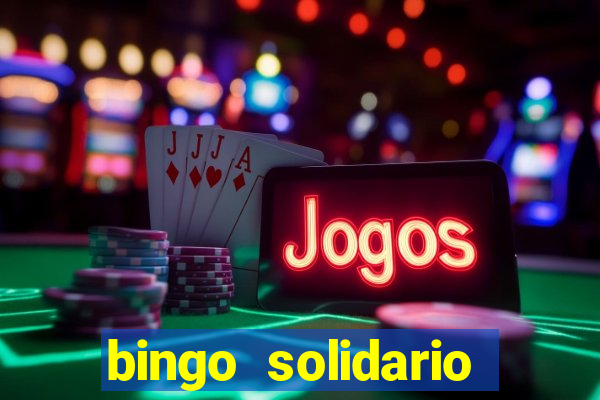 bingo solidario como organizar