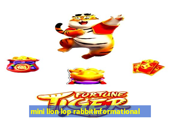 mini lion lop rabbitInformational