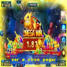 ver o circo pegar fogo significado