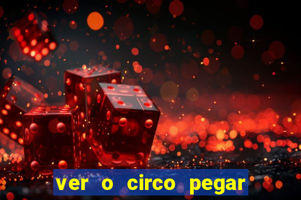 ver o circo pegar fogo significado