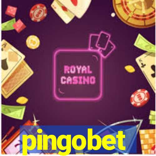 pingobet