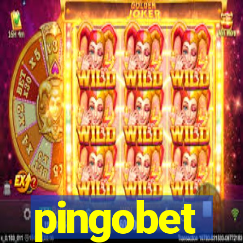 pingobet